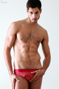 Fernando Sippel
