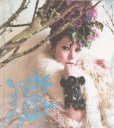 imagebam.com